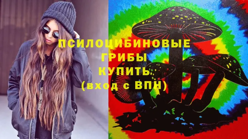 Псилоцибиновые грибы Cubensis Зверево